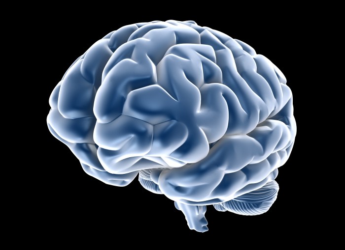 personal learning i.q.